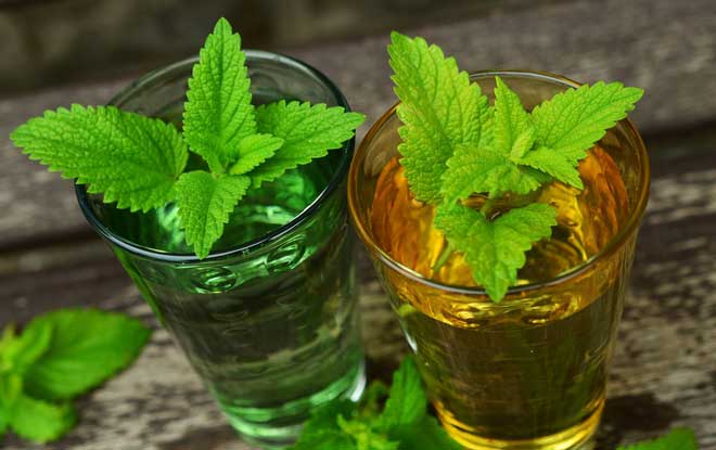 remedio para dormir caseiro remédios fitoterápicos para insonia e ansiedade