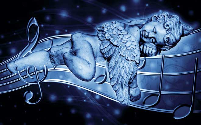 sucos para dormir profundamente ervas e plantas para dormir profundamente
