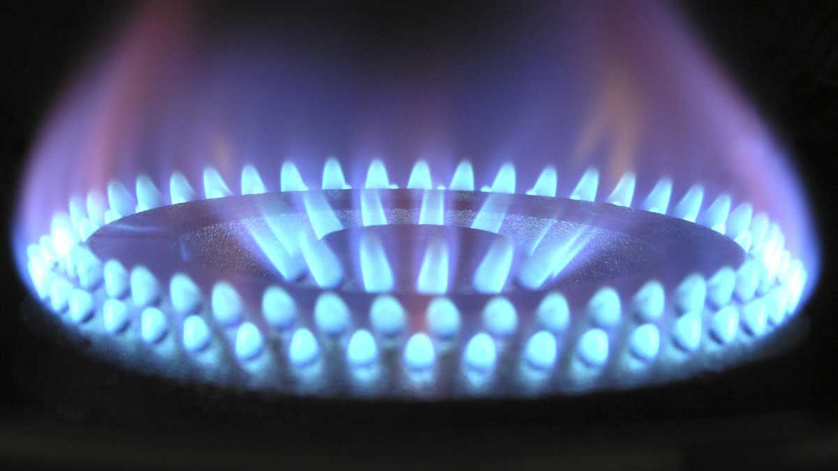 margem de lucro distribuidora de gas