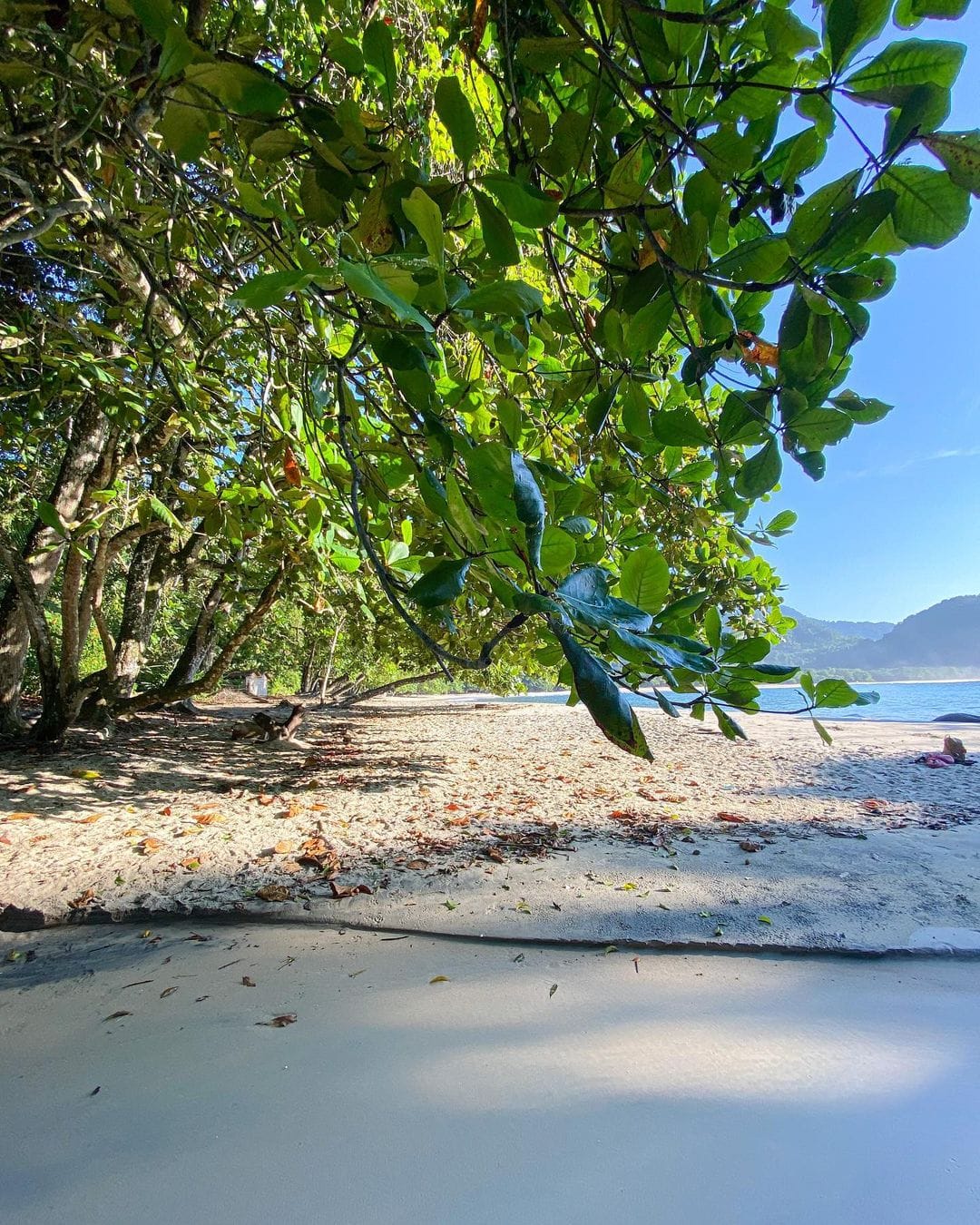 Praia do Félix ubatuba sp
