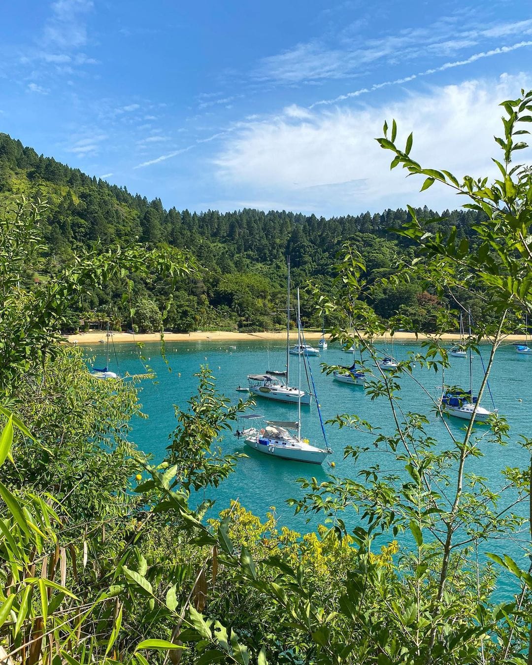 Praia do Flamengo ubatuba sp