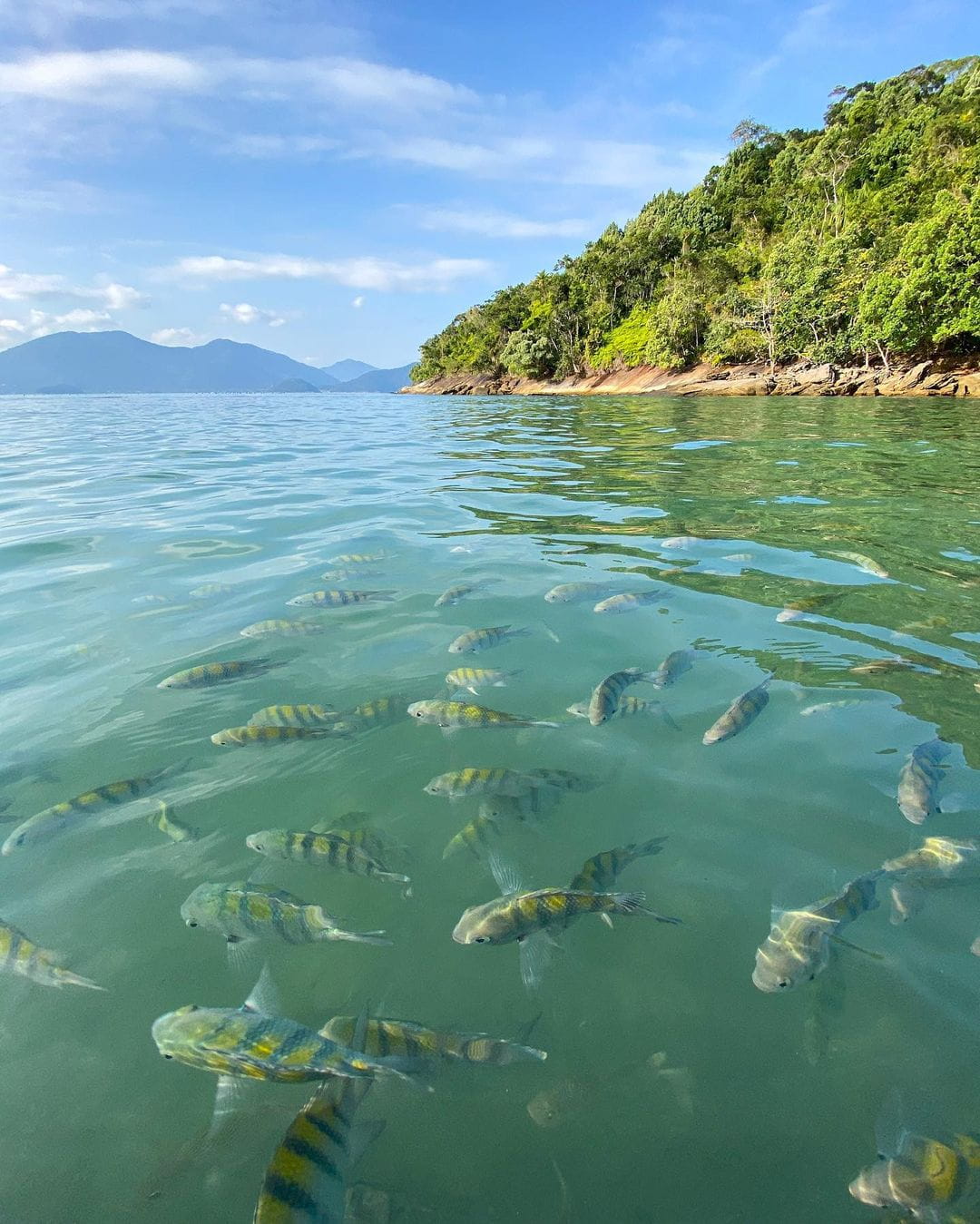 Prainha da fortaleza ubatuba sao paulo sp
